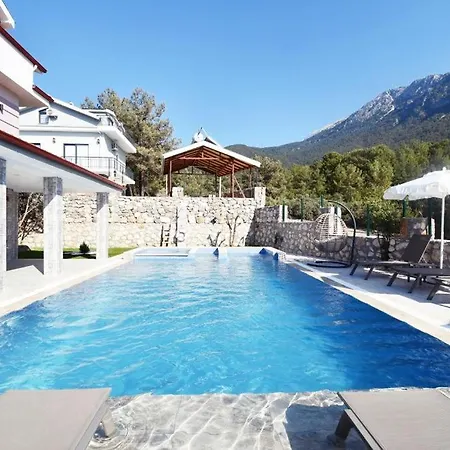 Desen 1 Villa